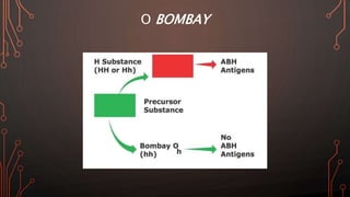 O BOMBAY
 