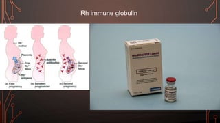 Rh immune globulin
 