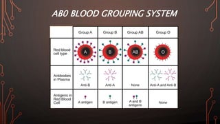 AB0 BLOOD GROUPING SYSTEM
 