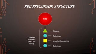 RBC PRECURSOR STRUCTURE
Glucose
Galactose
N acetylglucosamine
Galactose
Precursor
Substance
(stays the
same)
RBC
 