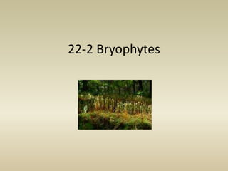 22-2 Bryophytes 
