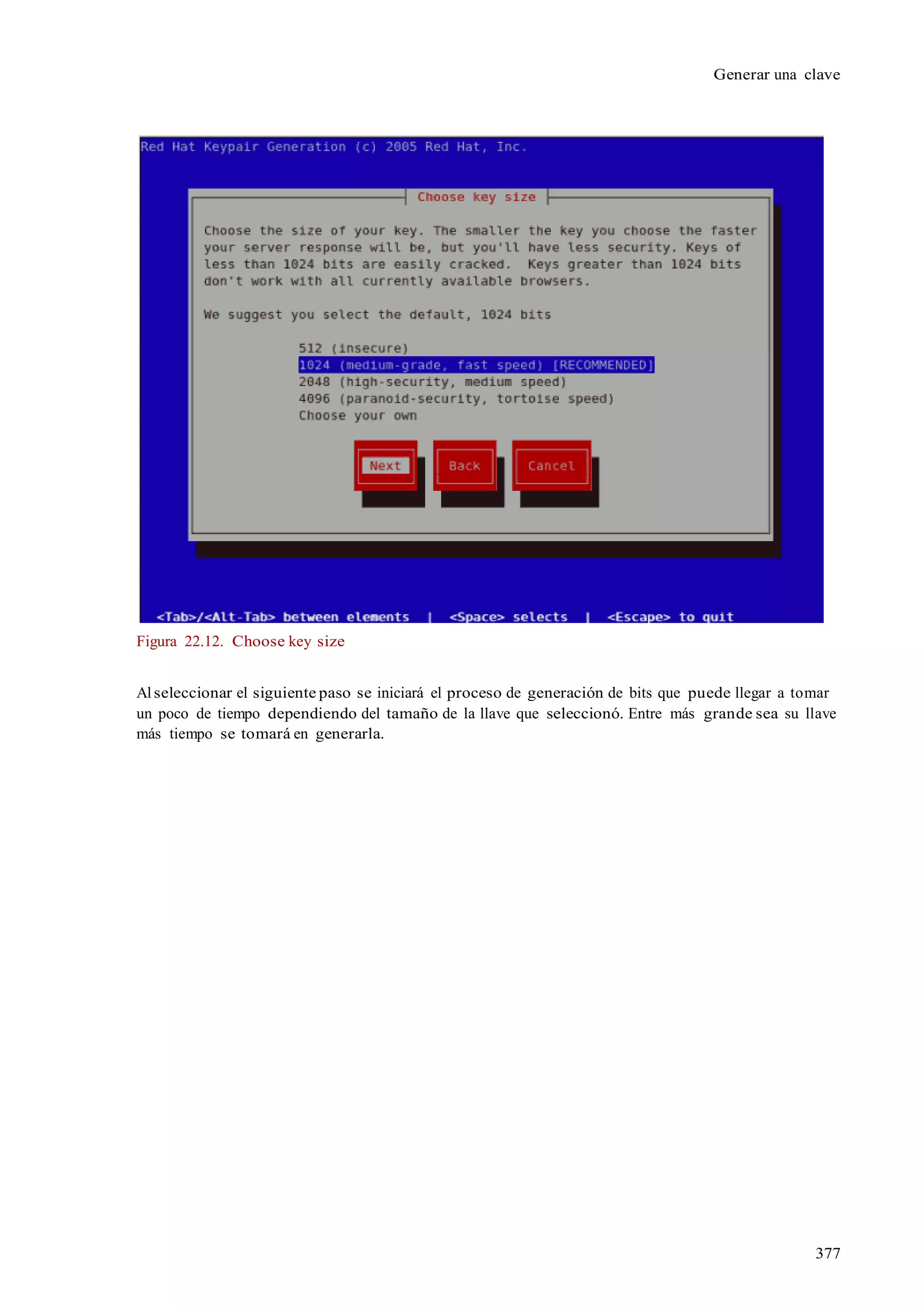 377
Generar una clave
Figura 22.12. Choose key size
Al seleccionar el siguiente paso se iniciará el proceso de generación de bits que puede llegar a tomar
un poco de tiempo dependiendo del tamaño de la llave que seleccionó. Entre más grande sea su llave
más tiempo se tomará en generarla.
 