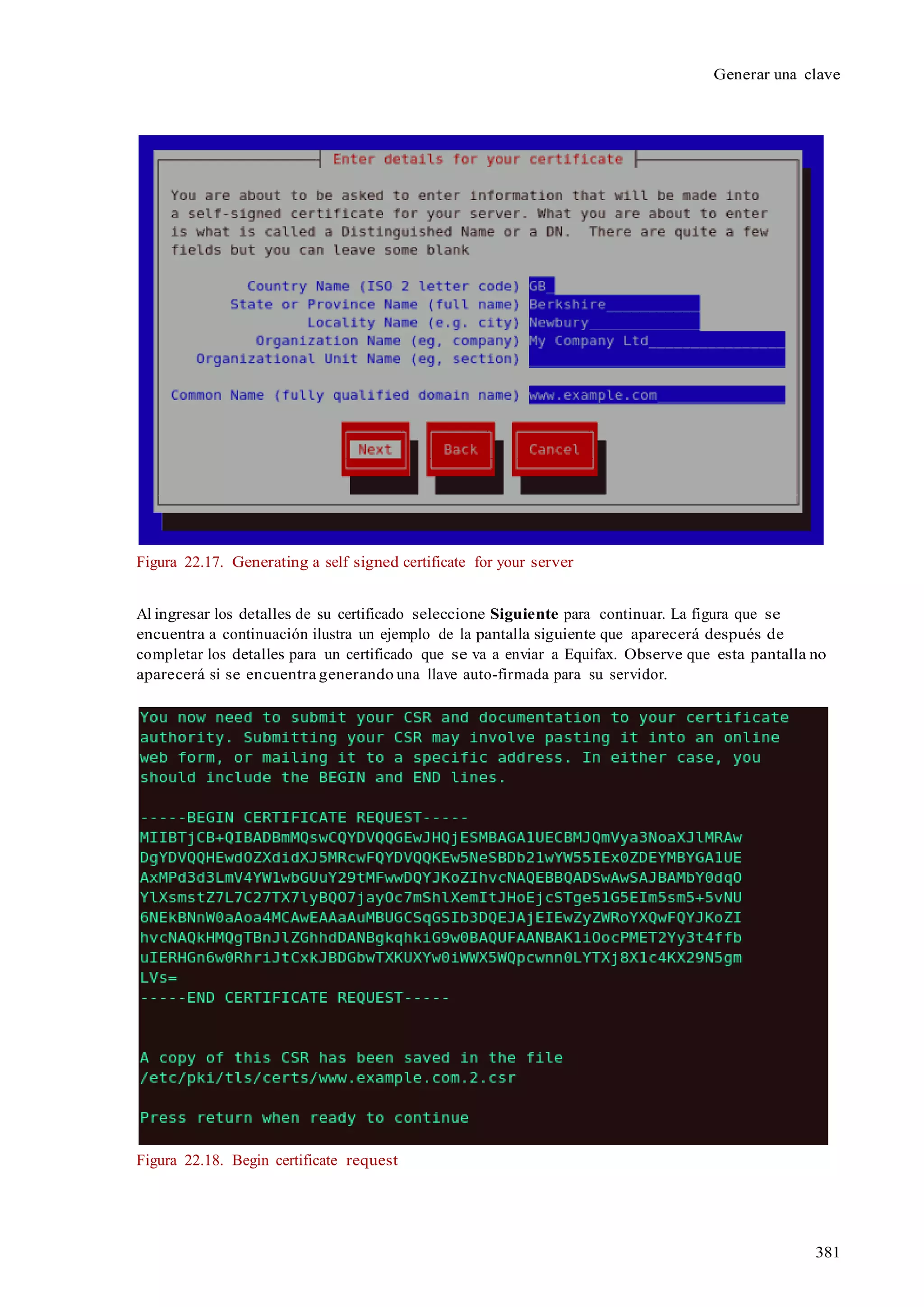 381
Generar una clave
Figura 22.17. Generating a self signed certificate for your server
Al ingresar los detalles de su certificado seleccione Siguiente para continuar. La figura que se
encuentra a continuación ilustra un ejemplo de la pantalla siguiente que aparecerá después de
completar los detalles para un certificado que se va a enviar a Equifax. Observe que esta pantalla no
aparecerá si se encuentra generando una llave auto-firmada para su servidor.
Figura 22.18. Begin certificate request
 