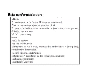 Esta conformado por: 