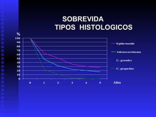   SOBREVIDA    TIPOS  HISTOLOGICOS   % Años 