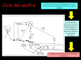 Ciclo del azufre El azufre disuelto proviene del desgate de las rocas, de la erosión y de la descomposición de la materia orgánica El azufre gaseoso tiene como fuentes la descomposición de la materia orgánica, la emisión de DMS por algas de los océanos y las erupciones volcánicas  El Dióxido de azufre(SO 2 )es un contaminante atmosférico 