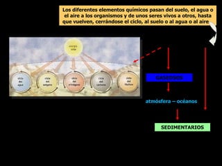 CICLOS BIOGEOQUÍMICOS Los diferentes elementos químicos pasan del suelo, el agua o el aire a los organismos y de unos seres vivos a otros, hasta que vuelven, cerrándose el ciclo, al suelo o al agua o al aire.   GASEOSOS SEDIMENTARIOS atmósfera – océanos  suelo-rocas-minerales 