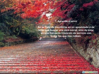7. Aprenda a servir No se trata de inscribirse en un apostolado o de tener que buscar una obra social, sino de estar en una frecuente intención de servicio con todos los que nos rodean. 