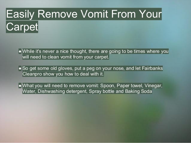 How To Clean Vomit From Your Carpet How To Clean Vomit From Your Carpet 2