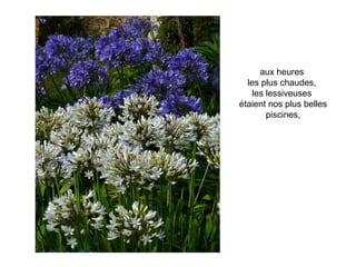 aux heures
  les plus chaudes,
   les lessiveuses
étaient nos plus belles
       piscines,
 