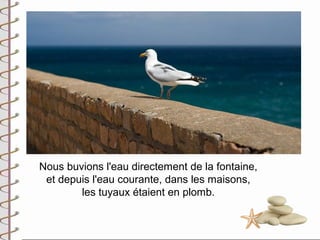 Nous buvions l'eau directement de la fontaine,
 et depuis l'eau courante, dans les maisons,
        les tuyaux étaient en plomb.
 
