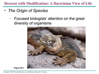 Descent with Modification: A Darwinian View of Life
 • The Origin of Species
         – Focused biologists’ attention on the great
           diversity of organisms




                 Figure 22.1

Copyright © 2005 Pearson Education, Inc. publishing as Benjamin Cummings
 