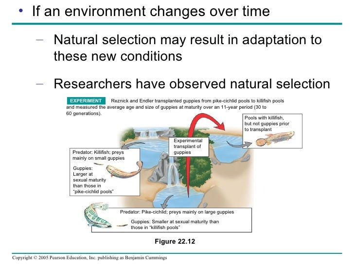 Interaction Between Natural Selection And Sexual Selection Interaction Between Natural Selection And Sexual Selection
