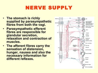 digestive system-2 | PPT