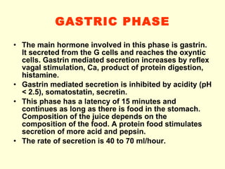 GASTRIC PHASE The main hormone involved in this phase is gastrin. It secreted from the G cells and reaches the oxyntic cells. Gastrin mediated secretion increases by reflex vagal stimulation, Ca, product of protein digestion, histamine. Gastrin mediated secretion is inhibited by acidity (pH < 2.5), somatostatin, secretin. This phase has a latency of 15 minutes and continues as long as there is food in the stomach. Composition of the juice depends on the composition of the food. A protein food stimulates secretion of more acid and pepsin. The rate of secretion is 40 to 70 ml/hour. 