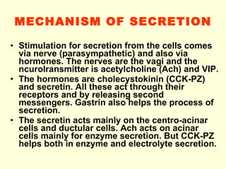 MECHANISM OF SECRETION Stimulation for secretion from the cells comes via nerve (parasympathetic) and also via hormones. The nerves are the vagi and the ncurolransmitter is acetylcholine (Ach) and VIP. The hormones are cholecystokinin (CCK-PZ) and secretin. All these act through their receptors and by releasing second messengers. Gastrin also helps the process of secretion. The secretin acts mainly on the centro-acinar cells and ductular cells. Ach acts on acinar cells mainly for enzyme secretion. But CCK-PZ helps both in enzyme and electrolyte secretion. 