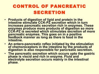 CONTROL OF PANCREATIC SECRETION Products of digestion of lipid and protein in the intestine stimulate CCK-PZ secretion which in turn increases pancreatic secretion rich in enzymes. These enzymes produce more products of digestion so more CCK-PZ is secreted which stimulates secretion of more pancreatic enzymes. This goes on in a positive feedback manner as long as there is food in the intestine. An entero-pancreatic reflex initiated by the stimulation of chemoreceptors in the intestine by the products of digestion is also responsible for pancreatic secretion. The pancreatic secretion which occurs upto the gastric phase is viscid and rich in enzyme. Fluid and electrolyte secretion occurs mainly in the intestinal phase . 