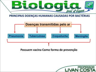 PRINCIPAIS DOENÇAS HUMANAS CAUSADAS POR BACTÉRIAS
Pneumonia CoquelucheTuberculose Meningite
Doenças transmitidas pelo ar
Possuem vacina Como forma de prevenção
 