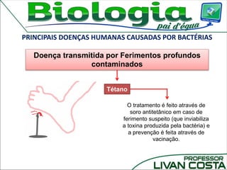 PRINCIPAIS DOENÇAS HUMANAS CAUSADAS POR BACTÉRIAS
Tétano
Doença transmitida por Ferimentos profundos
contaminados
O tratamento é feito através de
soro antitetânico em caso de
ferimento suspeito (que inviabiliza
a toxina produzida pela bactéria) e
a prevenção é feita através de
vacinação.
 