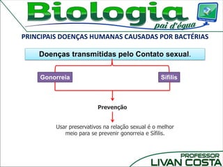 PRINCIPAIS DOENÇAS HUMANAS CAUSADAS POR BACTÉRIAS
Gonorreia
Doenças transmitidas pelo Contato sexual.
Sífilis
Usar preservativos na relação sexual é o melhor
meio para se prevenir gonorreia e Sífilis.
Prevenção
 