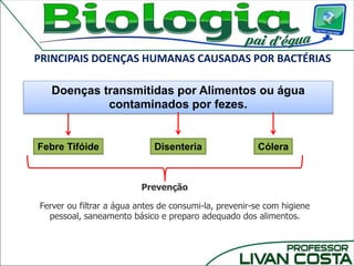 PRINCIPAIS DOENÇAS HUMANAS CAUSADAS POR BACTÉRIAS
Febre Tifóide CóleraDisenteria
Doenças transmitidas por Alimentos ou água
contaminados por fezes.
Ferver ou filtrar a água antes de consumi-la, prevenir-se com higiene
pessoal, saneamento básico e preparo adequado dos alimentos.
Prevenção
 