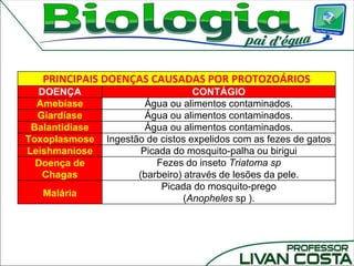PRINCIPAIS DOENÇAS CAUSADAS POR PROTOZOÁRIOS
DOENÇA CONTÁGIO
Amebíase Água ou alimentos contaminados.
Giardíase Água ou alimentos contaminados.
Balantidiase Água ou alimentos contaminados.
Toxoplasmose Ingestão de cistos expelidos com as fezes de gatos
Leishmaniose Picada do mosquito-palha ou birigui
Doença de
Chagas
Fezes do inseto Triatoma sp
(barbeiro) através de lesões da pele.
Malária
Picada do mosquito-prego
(Anopheles sp ).
 