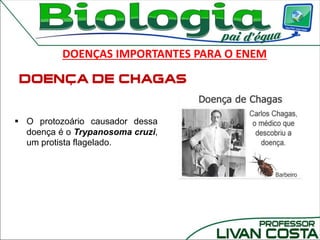 DOENÇAS IMPORTANTES PARA O ENEM
 O protozoário causador dessa
doença é o Trypanosoma cruzi,
um protista flagelado.
 