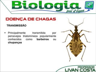 TRANSMISSÃO
 Principalmente transmitida por
percevejos triatomíneos popularmente
conhecidos como barbeiros ou
chupanças
 