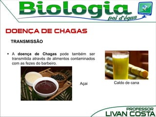 TRANSMISSÃO
 A doença de Chagas pode também ser
transmitida através de alimentos contaminados
com as fezes do barbeiro.
Caldo de canaAçai
 