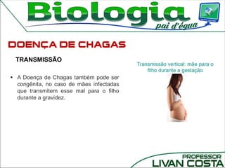 TRANSMISSÃO
 A Doença de Chagas também pode ser
congênita, no caso de mães infectadas
que transmitem esse mal para o filho
durante a gravidez.
 