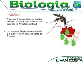 MALÁRIA
 Um problema frequente na atualidade
é o avanço da urbanização sobre as
florestas.
 A doença é característica de regiões
quentes, úmidas e com florestas, por
exemplo, na Amazônia no Brasil,
 