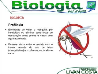  Eliminação do vetor, o mosquito, por
inseticidas ou eliminar seus focos de
reprodução como pneus e vasos com
água acumulada.
 Deve-se ainda evitar o contato com o
inseto, através do uso de telas
(mosquiteiros) em cabanas, na janelas e
cama.
MALÁRIA
Profilaxia
 