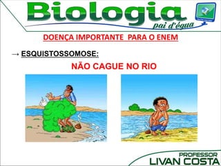 DOENÇA IMPORTANTE PARA O ENEM
→ ESQUISTOSSOMOSE:
NÃO CAGUE NO RIO
 