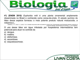 4°) (ENEM 2015) Euphorbia milii é uma planta ornamental amplamente
disseminada no Brasil e conhecida como coroa-de-cristo. O estudo químico do
látex dessa espécie forneceu o mais potente produto natural moluscicida, a
miliamina L.
MOREIRA, C. P. S.; ZANI, C. L.; ALVES, T. M. A. Atividade moluscicida do látex de Synadenium carinatum boiss. (Euphorbiaceae) sobre Biomphalaria glabrata e isolamento do
constituinte majoritário. Revista Eletrônica de Farmácia, n. 3, 2010 (adaptado).
O uso desse látex em água infestada por hospedeiros intermediários tem
potencial para atuar no controle da
a) dengue.
b) malária.
c) elefantíase.
d) ascaridíase.
e) esquistossomose.
 