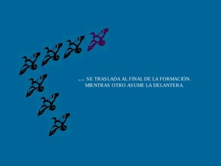 ... SE TRASLADA AL FINAL DE LA FORMACIÓN.
MIENTRAS OTRO ASUME LA DELANTERA.
 