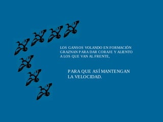 LOS GANSOS VOLANDO EN FORMACIÓN
GRAZNAN PARA DAR CORAJE Y ALIENTO
A LOS QUE VAN AL FRENTE,
PARA QUE ASÍ MANTENGAN
LA VELOCIDAD.
 