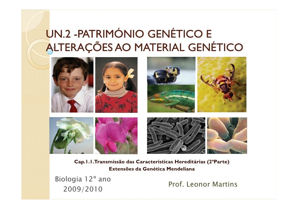 UN.2 -PATRIMÓNIO GENÉTICO E
ALTERAÇÕES AO MATERIAL GENÉTICO




      Cap.1.1.Transmissão das Características Hereditárias...