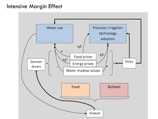 Intensive Margin Effect
 