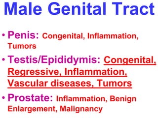 Male Genital Tract 
• Penis: Congenital, Inflammation, 
Tumors 
• Testis/Epididymis: Congenital, 
Regressive, Inflammation, 
Vascular diseases, Tumors 
• Prostate: Inflammation, Benign 
Enlargement, Malignancy 
 