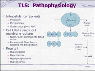 TLS: Pathophysiology
Intracellular components
Potassium
Phosphorous
Nucleic acids (DNA, RNA)
Cell killed (lysed), cell
membrane ruptures
Nucleic acids released into blood
stream
Potassium & Phosphorous
released into blood stream
Results in:
Hyperuricemia
Hyperkalemia
Hyperphosphatemia
Hypocalcemia
K+
4 4
PO - PO -
Nucleic Acids
K+ K+
4
K+ PO -
Nucleic
Acids
Hypoxanthine
Xanthine
UricAcid
Urine
K+ K+ K+
4 4 4
PO - PO - PO -
Ca++ Ca++ Ca++
Xanthine
Oxidase
(Liver)
 
