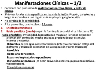 Manifestaciones Clínicas – 1/2
• Comienza con pródromo de malestar inespecífico, fiebre, y dolor de
cabeza.
• Síntomas locales más específicos en lugar de la lesión: Picazón, parestesias y
luego se extienden a una región más amplia por ganglioneuritis.
• No pérdida de la sensibilidad.
• A los pocos días, cuadro pleno: 2 formas:
1. Encefalitis (furiosa) o
2. Rabia paralítica (dumb) (según la fuente y la cepa del virus infectante.??)
Rabia encefalitis: Irritabilidad, hiperactividad muscular. Períodos de lucidez
alternan con confusión, mucha ansiedad precipitado por estímulos
internos o externos.
Hidrofobia de ver agua o intentar beberla (intensa contracción refleja del
diafragma y músculos accesorios de la respiración y otros músculos)
Aerofobia
Fiebre alta persistente.
Espasmos inspiratorios espontáneos
Disfunción autonómica (es decir, salivación excesiva, pupilas no reactivas,
y piloerección).
Convulsiones son raras. 12
 