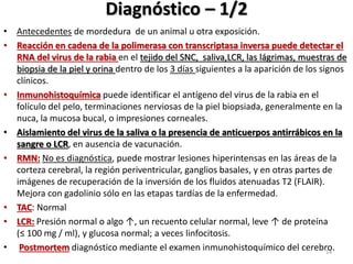 Diagnóstico – 1/2
• Antecedentes de mordedura de un animal u otra exposición.
• Reacción en cadena de la polimerasa con transcriptasa inversa puede detectar el
RNA del virus de la rabia en el tejido del SNC, saliva,LCR, las lágrimas, muestras de
biopsia de la piel y orina dentro de los 3 días siguientes a la aparición de los signos
clínicos.
• Inmunohistoquímica puede identificar el antígeno del virus de la rabia en el
folículo del pelo, terminaciones nerviosas de la piel biopsiada, generalmente en la
nuca, la mucosa bucal, o impresiones corneales.
• Aislamiento del virus de la saliva o la presencia de anticuerpos antirrábicos en la
sangre o LCR, en ausencia de vacunación.
• RMN: No es diagnóstica, puede mostrar lesiones hiperintensas en las áreas de la
corteza cerebral, la región periventricular, ganglios basales, y en otras partes de
imágenes de recuperación de la inversión de los fluidos atenuadas T2 (FLAIR).
Mejora con gadolinio sólo en las etapas tardías de la enfermedad.
• TAC: Normal
• LCR: Presión normal o algo ↑, un recuento celular normal, leve ↑ de proteína
(≤ 100 mg / ml), y glucosa normal; a veces linfocitosis.
• Postmortem diagnóstico mediante el examen inmunohistoquímico del cerebro.14
 