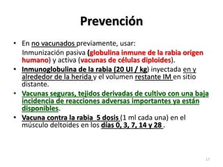 Prevención
• En no vacunados previamente, usar:
Inmunización pasiva (globulina inmune de la rabia origen
humano) y activa (vacunas de células diploides).
• Inmunoglobulina de la rabia (20 UI / kg) inyectada en y
alrededor de la herida y el volumen restante IM en sitio
distante.
• Vacunas seguras, tejidos derivadas de cultivo con una baja
incidencia de reacciones adversas importantes ya están
disponibles.
• Vacuna contra la rabia 5 dosis (1 ml cada una) en el
músculo deltoides en los días 0, 3, 7, 14 y 28 .
17
 
