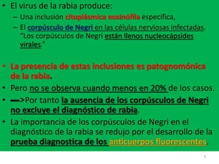 • El virus de la rabia produce:
– Una inclusión citoplásmica eosinófila específica,
– El corpúsculo de Negri en las células nerviosas infectadas.
“Los corpúsculos de Negri están llenos nucleocápsides
virales.”
• La presencia de estas inclusiones es patognomónica
de la rabia.
• Pero no se observa cuando menos en 20% de los casos.
• ▬>Por tanto la ausencia de los corpúsculos de Negri
no excluye el diagnóstico de rabia.
• La importancia de los corpúsculos de Negri en el
diagnóstico de la rabia se redujo por el desarrollo de la
prueba diagnostica de los anticuerpos fluorescentes.
9
 