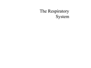 The Respiratory 
System 
 