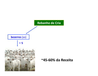 Rebanho	
  de	
  Cria	
  



bezerros	
  (as)	
  

          +$




                           ~45-­‐60%	
  da	
  Receita	
  
 