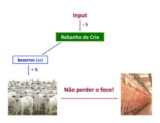 Input	
  
                                    -$

                       Rebanho	
  de	
  Cria	
  



bezerros	
  (as)	
  

          +$



                        Não	
  perder	
  o	
  foco!	
  
 