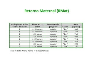 Retorno	
  Maternal	
  (RMat)	
  




Base	
  de	
  dados	
  Aliança	
  Nelore	
  	
  (~	
  250.000	
  fêmeas)	
  
 