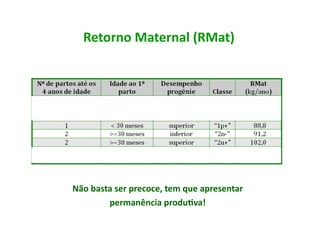 Retorno	
  Maternal	
  (RMat)	
  




Não	
  basta	
  ser	
  precoce,	
  tem	
  que	
  apresentar	
  
           permanência	
  produ5va!	
  
 