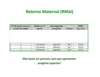 Retorno	
  Maternal	
  (RMat)	
  




Não	
  basta	
  ser	
  precoce,	
  tem	
  que	
  apresentar	
  
                  progênie	
  superior!	
  
 
